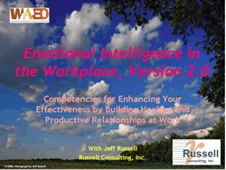 Emotional Intelligence 2.0