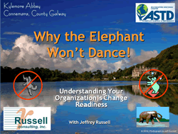 Why Elephant Won't Dance