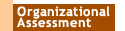 Organizational Assessment
